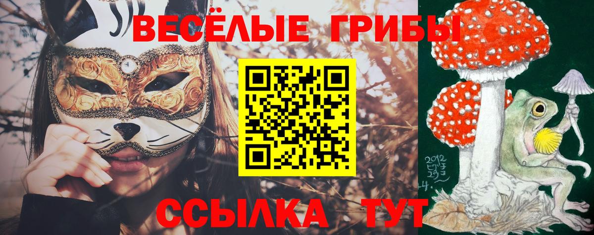 Псилоцибиновые грибы Magic Shrooms Гатчина