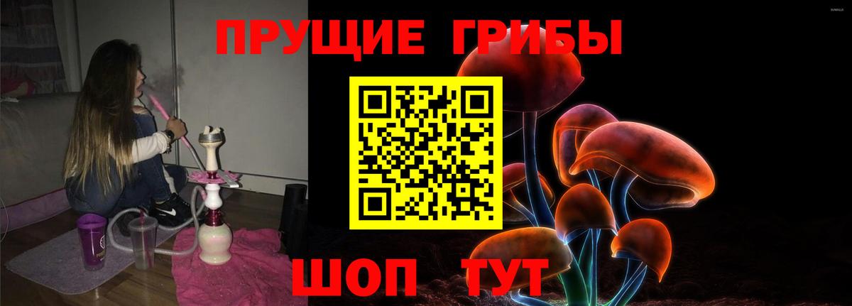 Гатчина  Псилоцибиновые грибы Psilocybe  Псилоцибиновые грибы MAGIC MUSHROOMS  Вход с VPN 